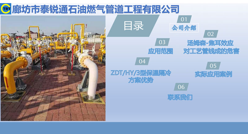 91香蕉视频APP-去汤姆森焦耳(新)250327_页面_02.jpg